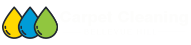 Carpet Cleaning Bellevue hill