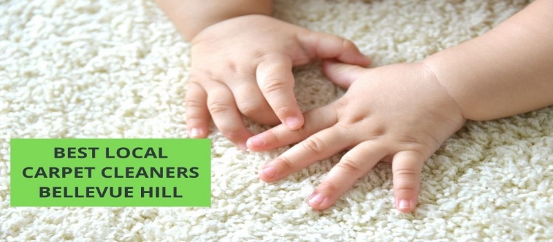 Best Local Carpet Cleaners Bellevue Hill