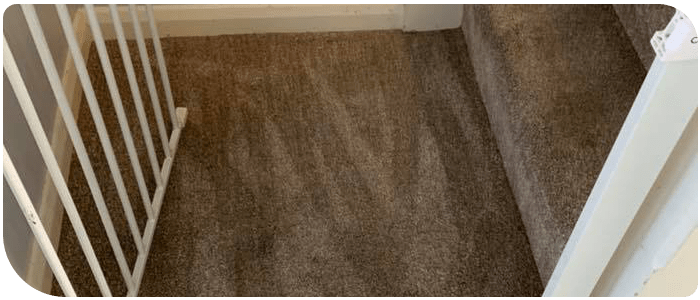 End Of Lease Carpet Cleaning Bellevue Hill