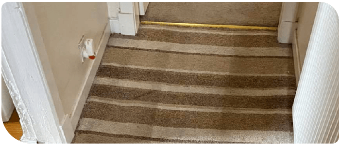 Rug Cleaning Bellevue Hill
