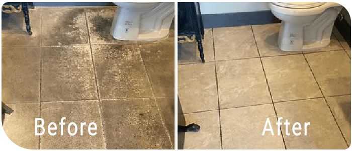 Tile And Grout Cleaning Bellevue Hill