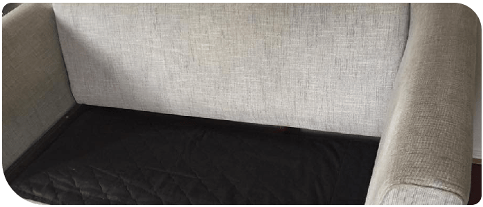 Upholstery Cleaning Bellevue Hill