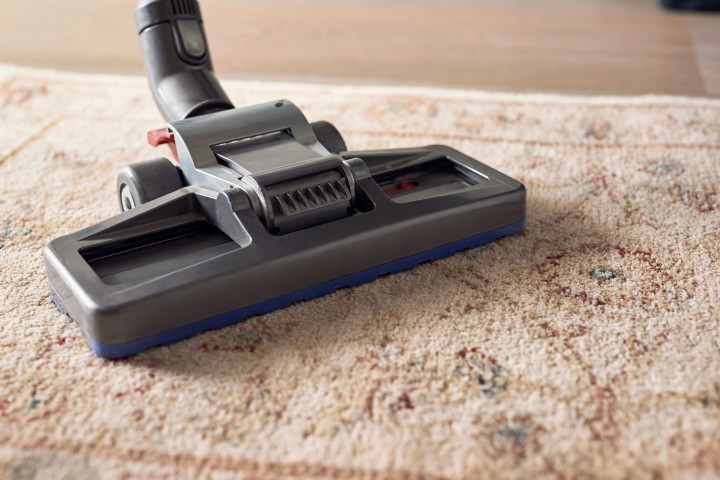 Expert Carpet Cleaners